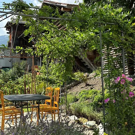 Romantica Und Pacifica - Artdagio *