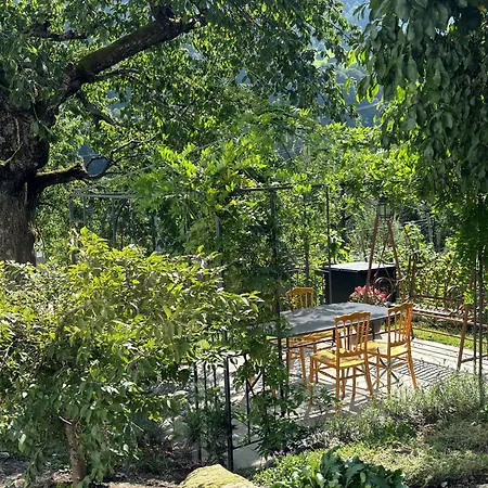 Romantica Und Pacifica - Artdagio