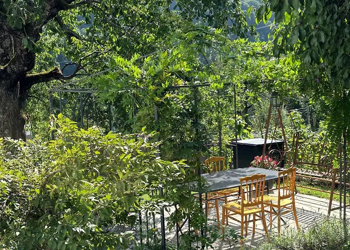 Romantica Und Pacifica - Artdagio